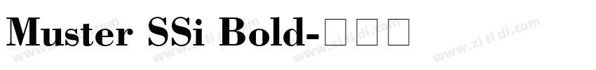 Muster SSi Bold字体转换
